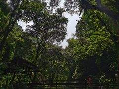 -桂林古东瀑布景区
