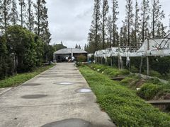 -前小桔亲子创意农场·草莓采摘·露营烧烤