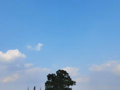 -良渚古城遗址公园