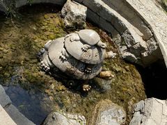 -中华三祖圣地黄帝城遗址文化旅游区