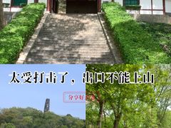 -上海佘山国家森林公园天马山园