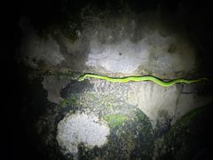-火炉山森林公园