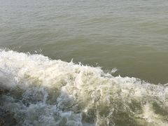 -巢湖姥山岛
