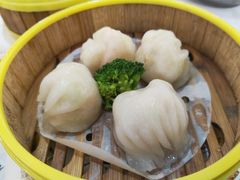 宝城虾饺皇-新宝城海鲜坊(大浪店)