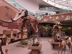 -陕西自然博物馆