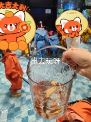 -第五极儿童乐园