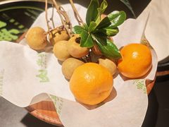 -季季山·云南野生菌火锅(上海首店)
