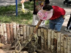 -水上乐园·欢乐世界