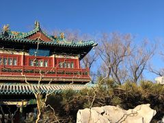 -迎泽公园
