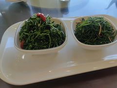 养生枸杞苗-老毛手抓·盐池滩羊非遗手抓(宁夏总店)