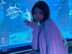 -北戴河圣蓝海洋公园