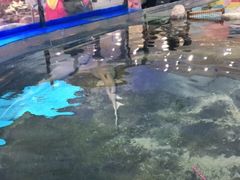 -鸿通城购物中心