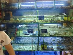 -麻屋手抓海鲜(防城港总店)