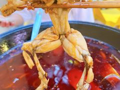 -鸿顺老铁锅美蛙鱼府(解放碑店)