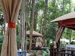 -二荆条·蜀鲜汇城市森林火锅