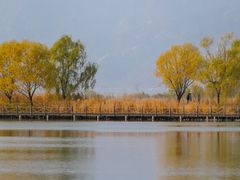 -野鸭湖国家湿地公园