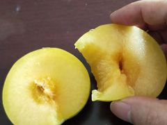 -菜园坝水果市场