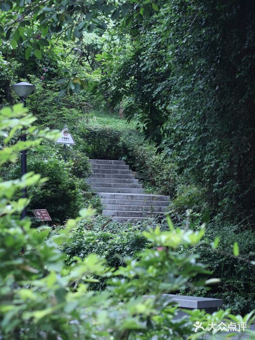 燕晗山郊野公园图片