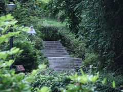 -燕晗山郊野公园