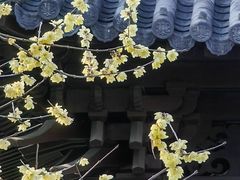 -钱王祠
