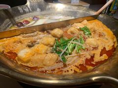 -九鼎轩脆毛肚火锅(三钢里店)