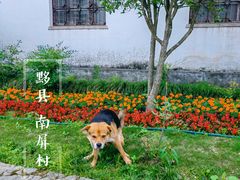 -南屏景区