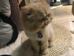 -小时光咖啡馆(开森度假森林店)