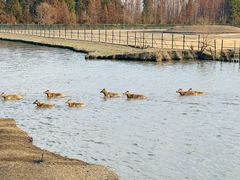 -溱湖国家湿地公园
