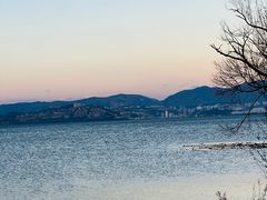 -洱海月湿地公园