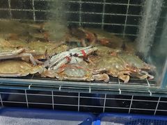 -宏运厨房·海鲜青岛菜·生日宴(城市阳台店)