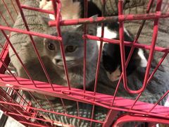 -第三空间·趣味桌游·轰趴.室内CS.剧本杀(大武汉1911店)