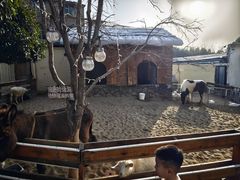 -HERRE·FARM 赫尔露营农场·团建聚会包场