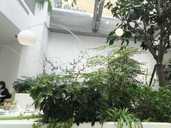 -大树餐厅(红旗街万达店)