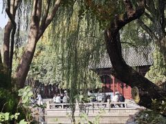 -秋霞圃