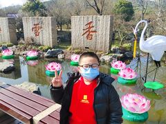 -香雪海