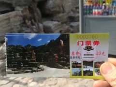 -大岭沟猕猴桃谷风景区