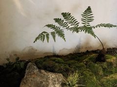 大堂-Metal hands·铁手咖啡