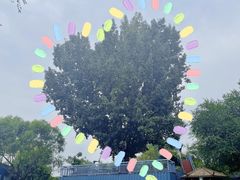 -酷鱼垂钓CLUB(朝阳区博大路店 )