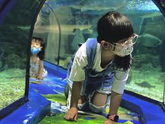 -福州罗源湾海洋世界旅游区