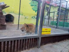 -荆州中山公园动物园