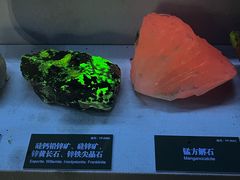 -湖南省地质博物馆