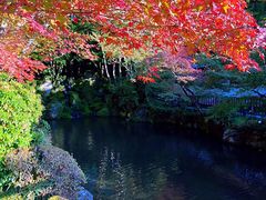 -醍醐寺