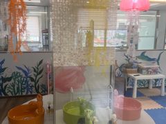 -Dr.Z dental仁康种植矫正中心