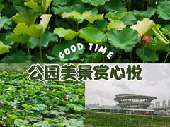-梅溪湖公园