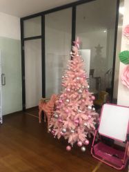 -Lab Season惜辰颜究社