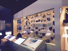 -墨尔本博物馆(Melbourne Museum)