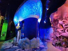 -珠海横琴国家地理探险家中心(创新方)