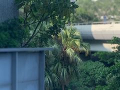 -香港理工大学
