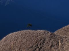 -萍乡武功山风景名胜区