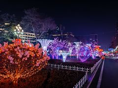 -金城公园